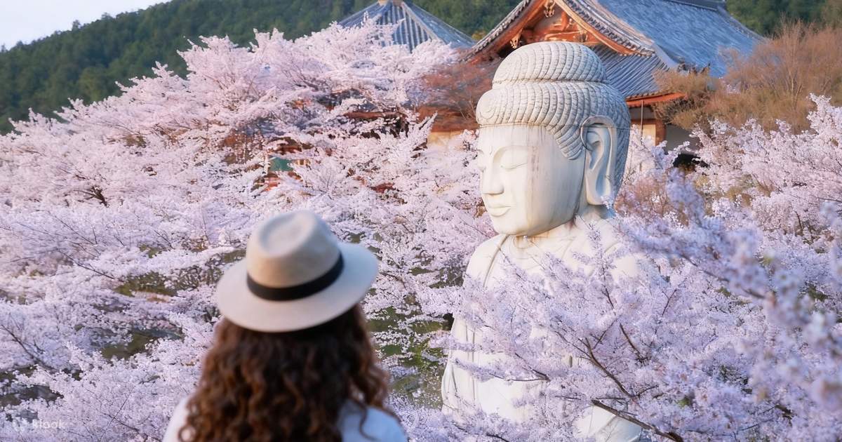 Mount Wakakusa, Nara Park, and Todai-ji Temple (Great Buddha
